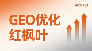 服务版怎么升级定制版？GEO优化升级方案详解